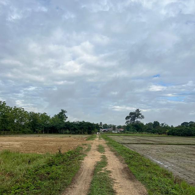 ที่ดิน เจ้าของขายเอง ปี 2569 9