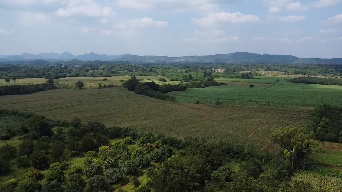 ขายที่ดิน เขาใหญ่ หมูสี วิวเขา 6