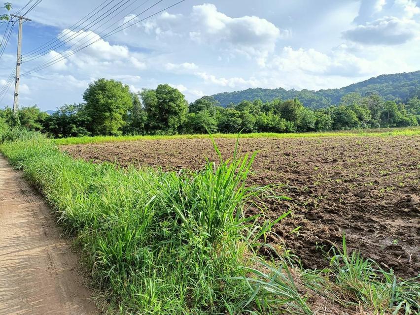 ที่ดินปากช่อง ต.พญาเย็น จ.นครราชสีมา 19