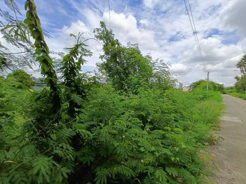 ที่ดินจังหวัดสุพรรณบุรี หน้าแปลงติดถนน ราคาคุยกันก่อนได้ค่ะ 4