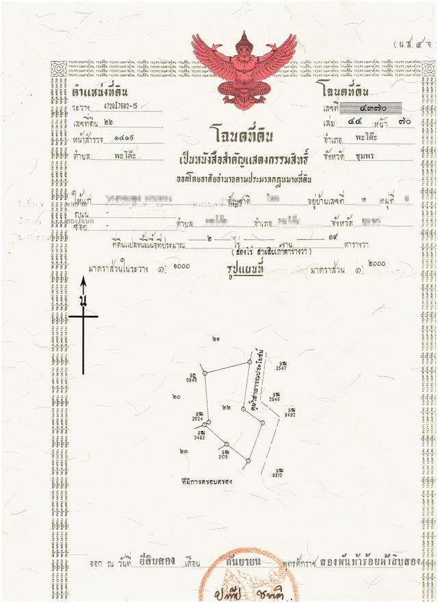 ประกาศขายที่ดินสวนปาล์ม เนื้อที่5ไร่ 2โฉนด ต.พะโต๊ะ อ.พะโต๊ะ จ.ชุมพร 5