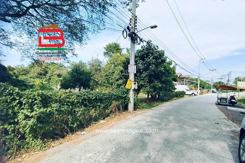 ที่ดินเปล่า บ้านงิ้วซอย15 (ซ.สวนมะม่วง) เนื้อที่ 103 ตรว. ถนนติวานนท์ ตำบลบ้านงิ้ว อำเภอสามโคก จังหวัดปทุมธานี 4