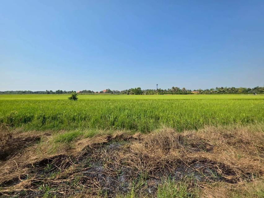 ขายที่ดินองครักษ์ นครนายก คลอง22 ใกล้วัดราษฎร์ศรัทธาราม 3