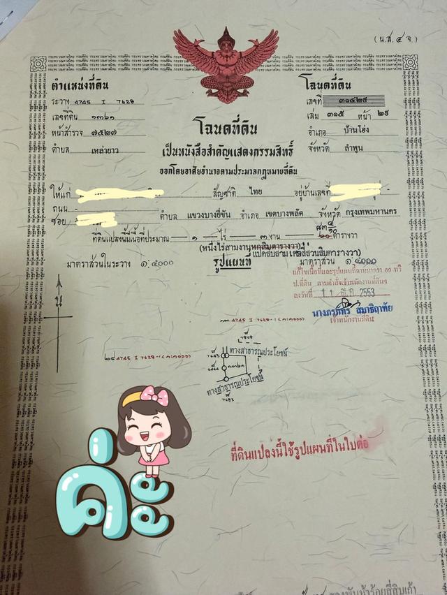 สวนมะม่วงกลางชุมชน 9ไร่ อ.บ้านโฮ่ง ลำพูน 2
