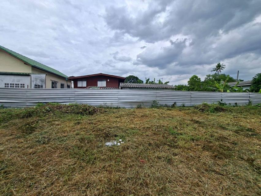 ขายที่ดิน 159 ตร.ว. สุขุมวิท 101 (ปุณณวิถี 52) ใกล้ BTS ปุณณวิถี เหมาะสำหรับสร้างบ้าน (N.2304) 9