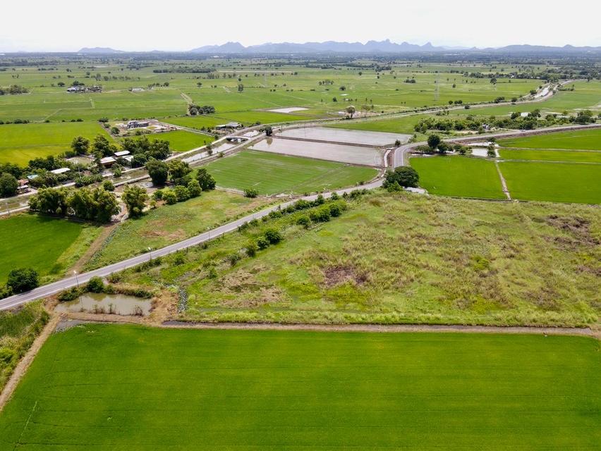 ขายที่ดินติดถนนลาดยาง แหล่งชุมชน  📍ต.หรเทพ อ.บ้านหมอ จ.สระบุรี 4