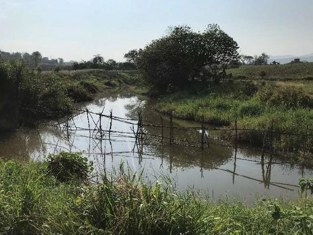 ขายที่ดิน 646ไร่ รวม103ลบ. ฟรีโอน ลดเหลือ ไร่ละ160,000บ. ติดถนนลาดยาง ไฟฟ้าถึง ใกล้วัดพระพุทธบาทห้วยต้ม บ้านห้วยต้ม ต.นา 5