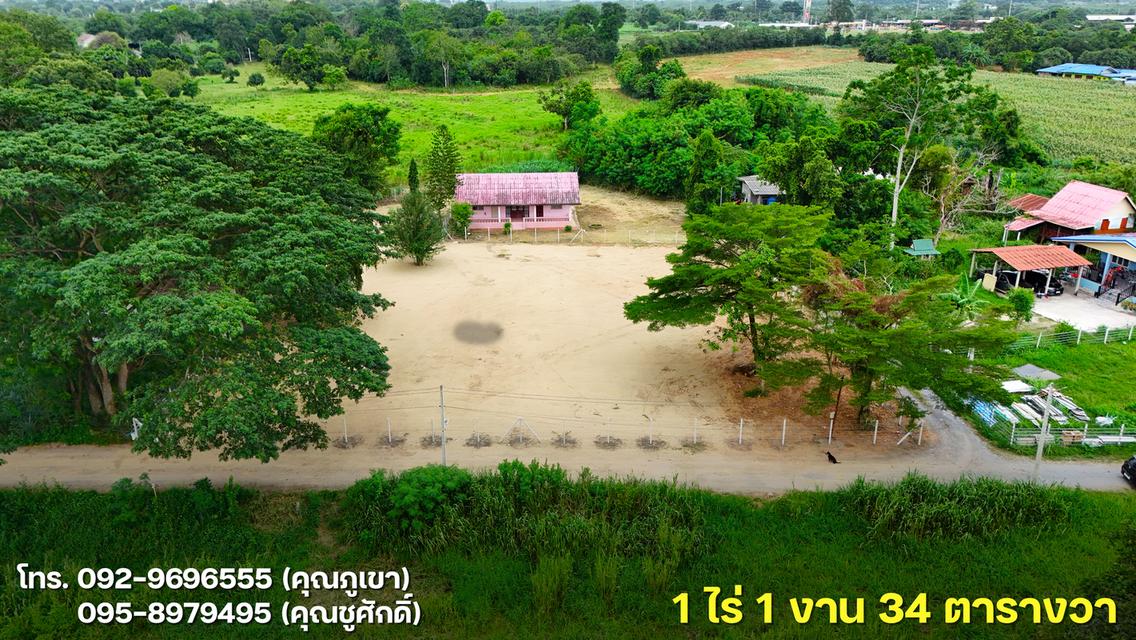 ขายที่ดินโซนเมืองปากช่อง 1 ไร่ 1 งาน 34 ตารางวา 3