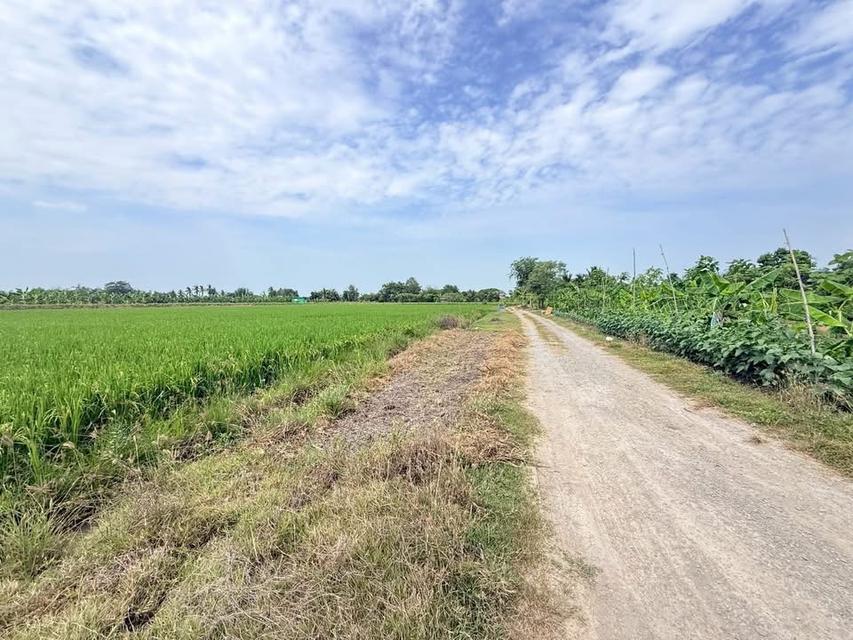 Vายด่วนที่ดินสร้างบ้านสวน 4 ไร่ ติดถนนหินคลุก อ.ลาดหลุมแก้ว จ.ปทุมธานี 5