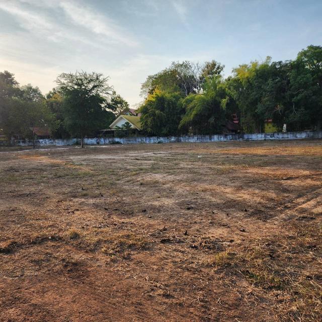 ขายด่วน ที่ดิน ต.โนนสูง จ.อุดรธานี 6