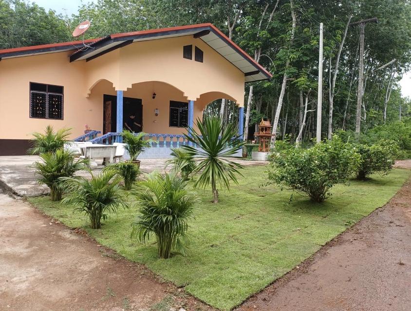 บ้านพร้อมที่ดินและสวนยาง 1