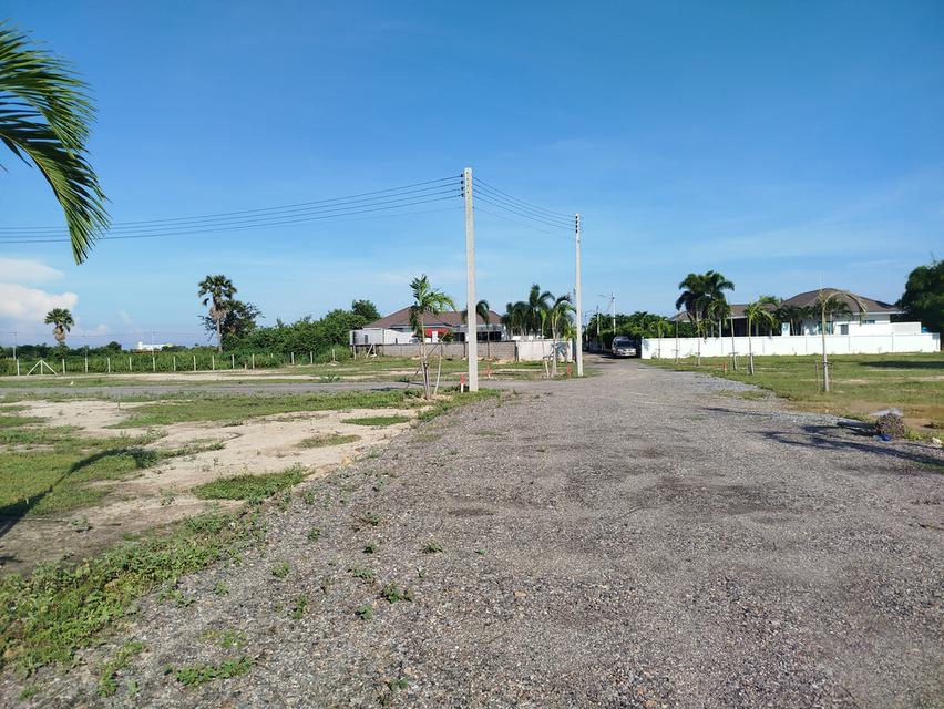 ที่ดินชะอำ 6