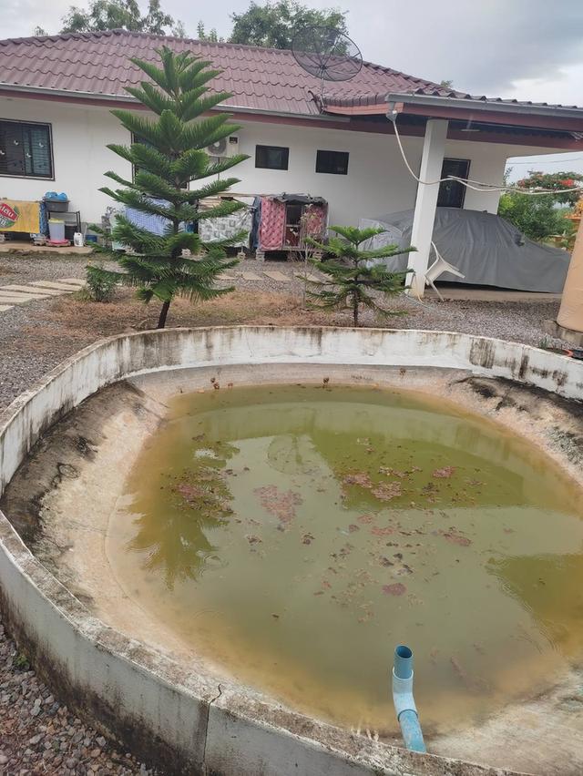 จายบ้านพร้อมที่ดิน บ้าน 2 หลัง ในที่ดิน 1 ไร่ 12