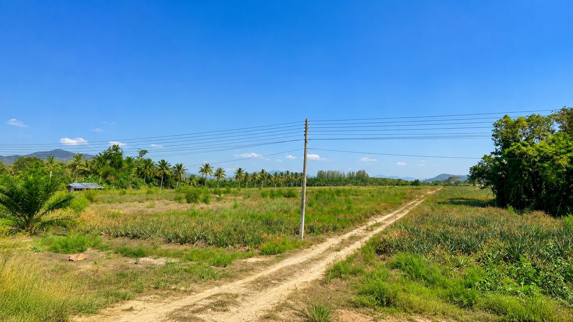 ขายที่ดินผืนใหญ่ทำเลทอง อ่าวน้อย เมืองประจวบคีรีขันธ์ – วิวเขาสวย ใกล้หาดอ่าวมะนาว HRE00797 3