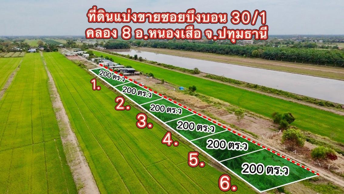 ขายที่ดินคลอง 8 หนองเสือ 200 ตรว. ถมแล้วที่โฉนดนส.4พร้อมโอน จ.ปทุมธานี 3