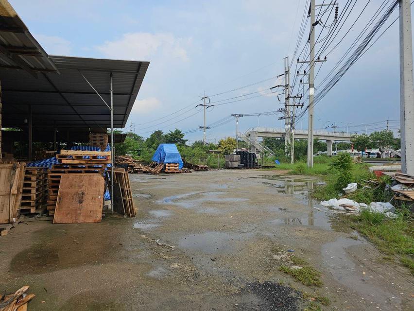 ขายที่ดินเปล่า พุทธมณฑลสาย 6 จังหวัดนครปฐม 9