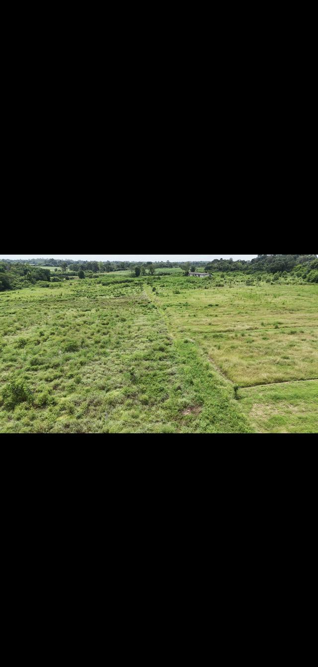 ขายที่ดินแปลงใหญ่อุดร100ไร่ 5