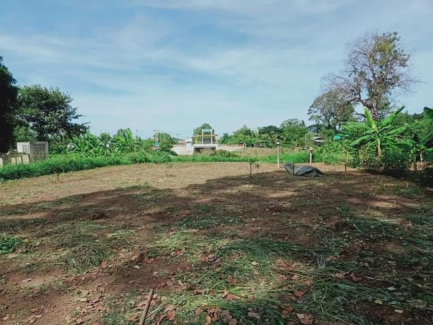 ที่ดินติดแม่น้ำป่าสัก 1