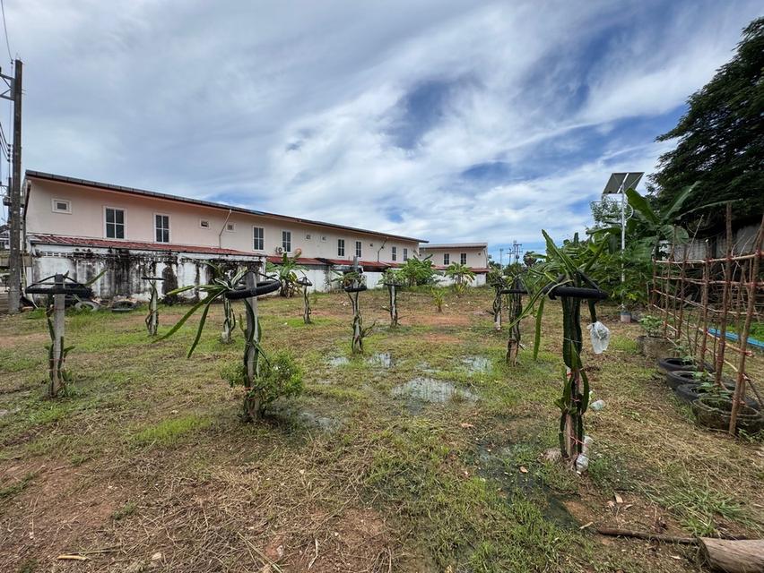ขายด่วน ที่ดินชุมพร ในตัวเมือง 308.1 ตรว ขายเกือบเท่าราคาประเมิน 2