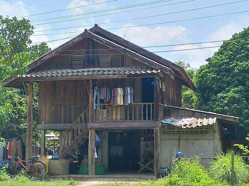 ขายที่ดินสิ่งปลูกสร้าง 13-3-22 ไร่ สวนมะม่วงน้ำดอกไม้ ตำบลพระธาตุผาแดง อำเภอแม่สอด จังหวัดตาก 6