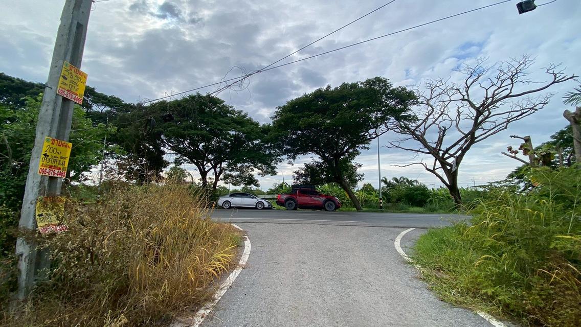 ขายถูกที่ดินคลองสิบสาม 3 ไร่เศษ ติดถนนสาธารณะ มีไฟฟ้า 3 เฟส เขตหนองจอก กทม. 8