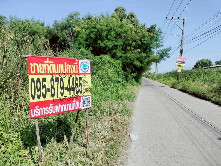 Vายด่วนnที่ดินรังสิต 1 ไร่ ติดถนนคอนกรีตสาธารณะ ซอย รังสิต-นครนายก 17 อ.ธัญบุรี จ.ปทุมธานี 7