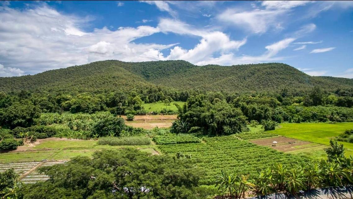 แบ่งขายฟาร์มดอยสะเก็ด จ.เชียงใหม่ จำนวนไร่ตามภาพ 5