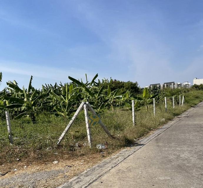 ขายที่ดินเปล่า ขนาด486ตรว ใกล้รถไฟฟ้าสายสีเหลืองศรีนครินทร์38และซีคอนสแควร์​ ศรีนครินทร์ ซอยศรีนครินทร์36 เขตสวนหลวง กทม 3