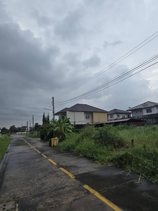 ที่ดิน แขวงดอกไม้ เฉลิมพระเกียรติ ร.9 ซอย 62 4