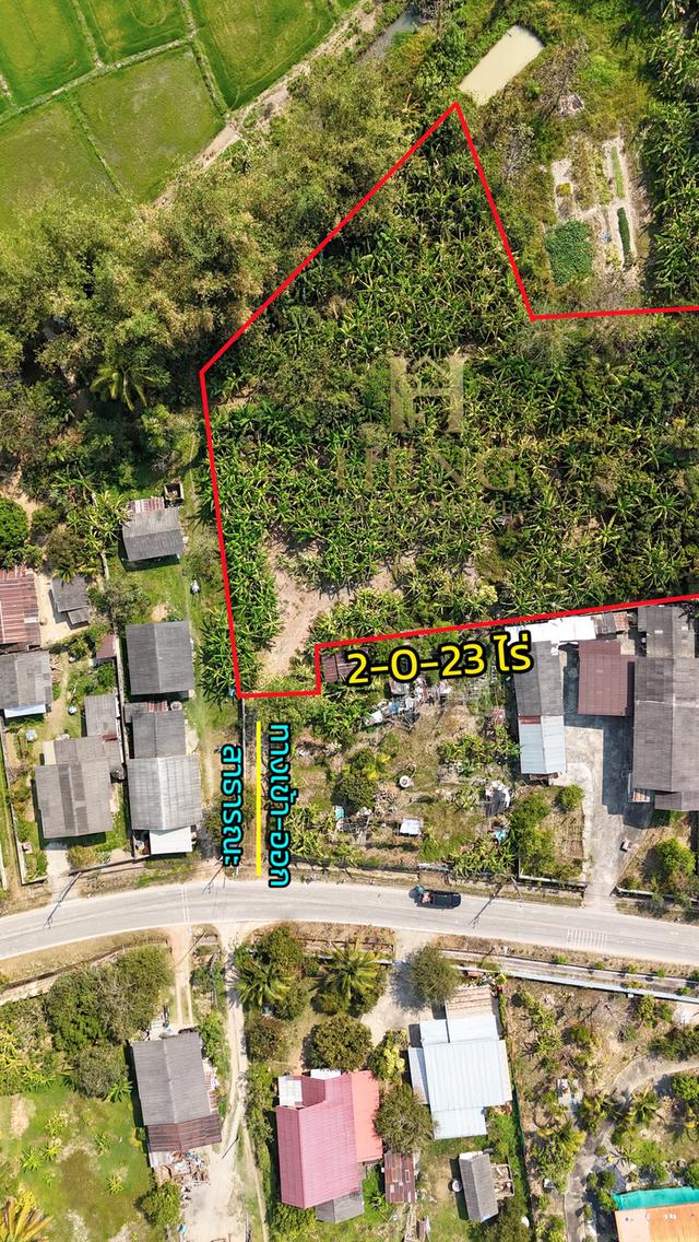 ขายที่ดินเปล่า 2-0-32 ไร่ ต.แม่เย็น อ.พาน จ.เชียงราย 57280 4