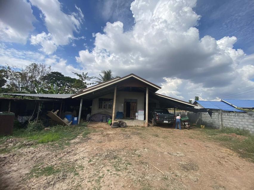 ขายบ้านเดี่ยวพร้อมที่ดิน เนื้อที่ 183 ตร.ว. บ้านนาคลอง อ.เมือง จ.หนองคาย 5
