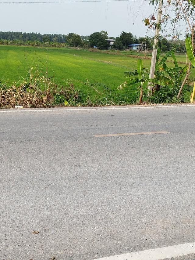 ที่ดินนครหลวง จ.อยุธยา 1