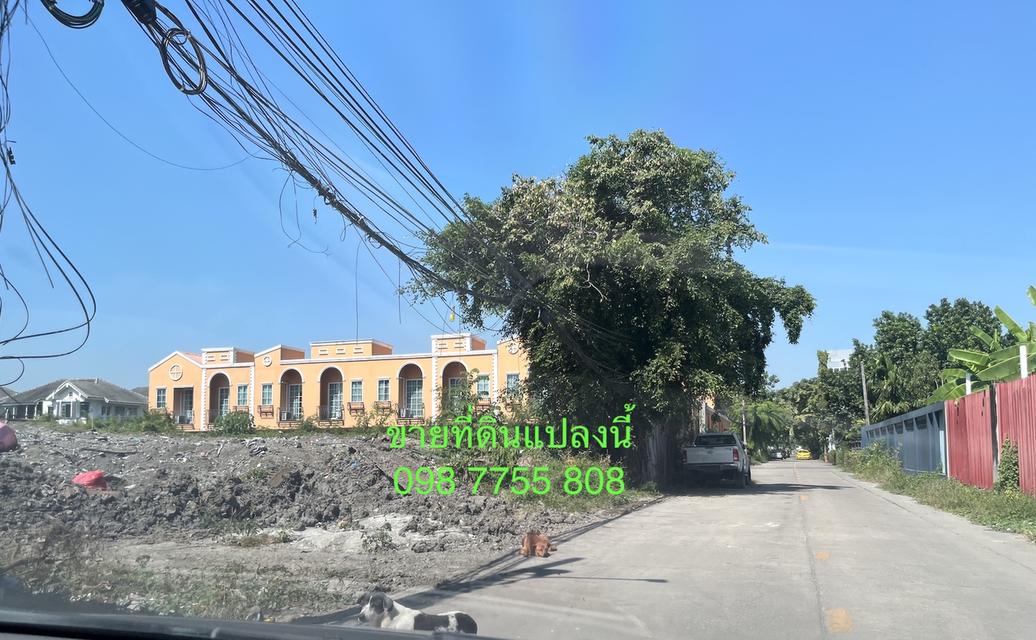 ขายที่ดิน 326 วา ใกล้ ม.รามคำแหง หัวหมาก 098 7755 808 15