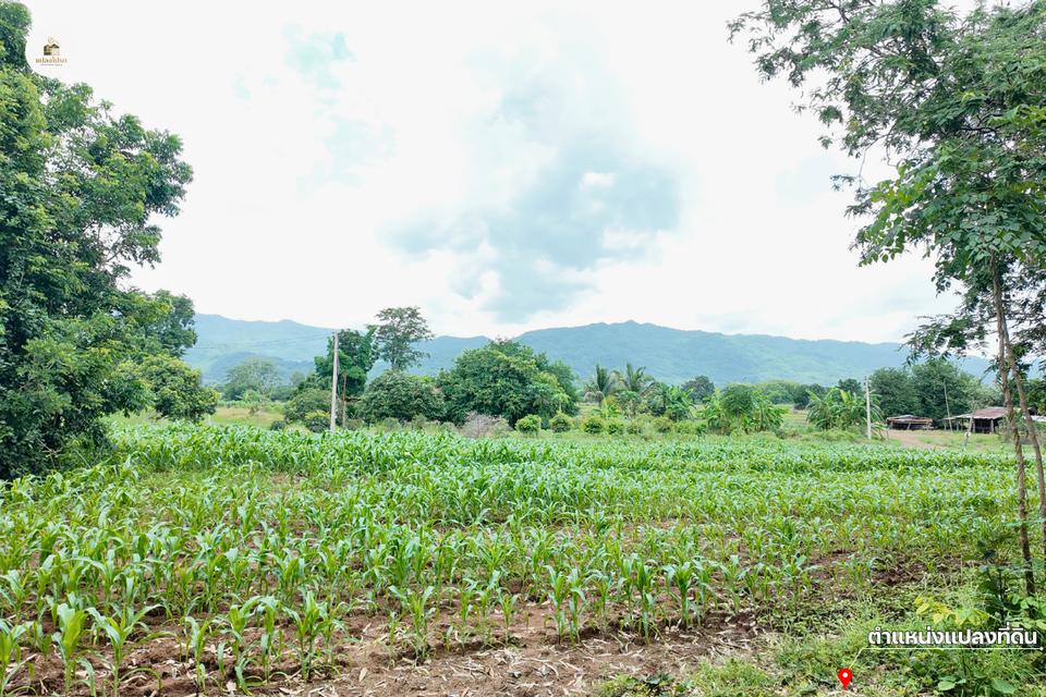 ขายบ้านพร้อมที่ดิน 2 ไร่ 2 งาน 19 ตร.ว. โฉนดครุฑแดง วิวภูเขา ต.วังชมภู เพชรบูรณ์ 9