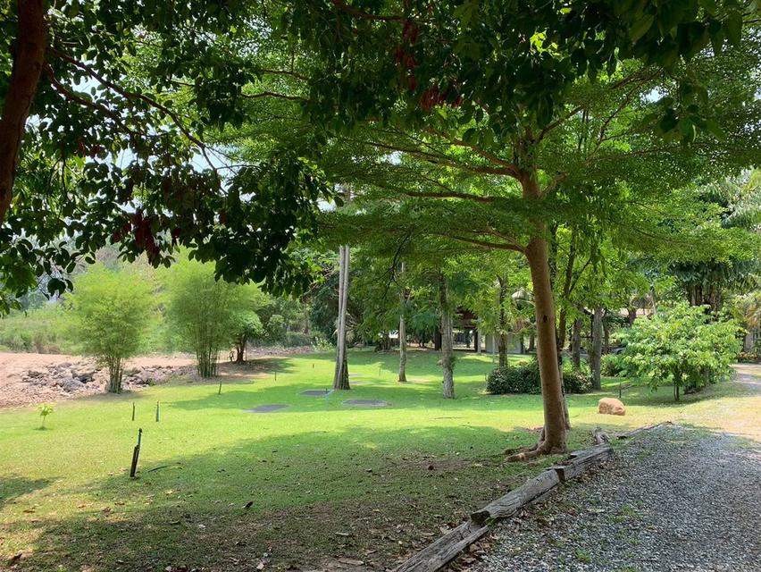 ขายที่ดินพร้อมสิ่งปลูกสร้าง บ้านไม้สักพร้อมสวน 20 ไร่ 2 งาน 59 ตร.ว. ทิศใต้ติดเนินเขา ชะอม แก่งคอย สระบุรี 6