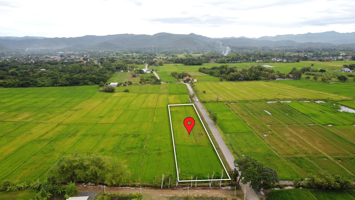 🌄 ขายที่ดิน 2-3-49 ไร่ น้ำ-ไฟ-เน็ตพร้อม หน้ากว้างติดถนนสุดๆ 2