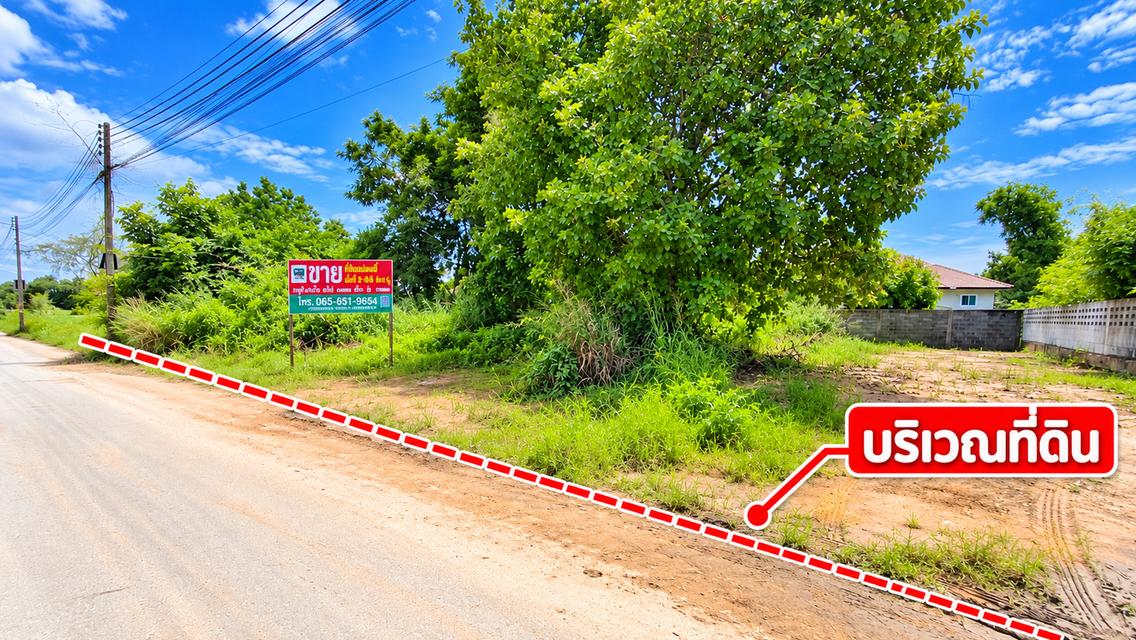 ขายที่ดินถมแล้ว 166 ตร.ว. ทับมา ระยอง ใกล้โกลบอลเฮ้าส์ ไฟฟ้าและประปาผ่านหน้าแปลง 5