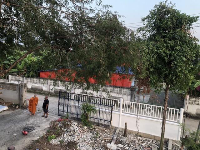 รีบหาที่ทางทำเกษตรพอเพียง บ้านปูน 1 ชั้น ต.บางเลน อ.บางใหญ่ 100 วา แหล่งเจริญ นนทบุรี เนื้อที่ ราคาคุยได้ค่ะ รูปที่ 4