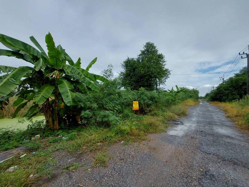 ขายที่ดินเปล่า หมู่บ้านสวัสดิการแลนด์ ซอยคู้คลองสิบ 14 3