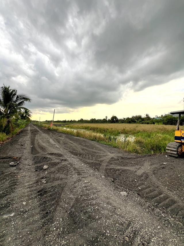ขายที่ดินคลอง 11 หนองเสือ ปทุมธานี — 300 ตร.ว. ราคา 1.15 ล้านบาท 6