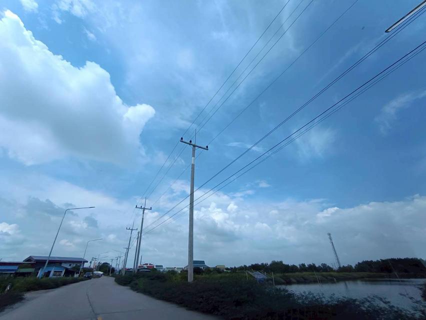 ขายที่ดิน ท่าข้าม บางขุนเทียน เหมาะทำนากุ้ง 383.4 ตร.วา ราคาถูกเพียง 9.9 แสน 4