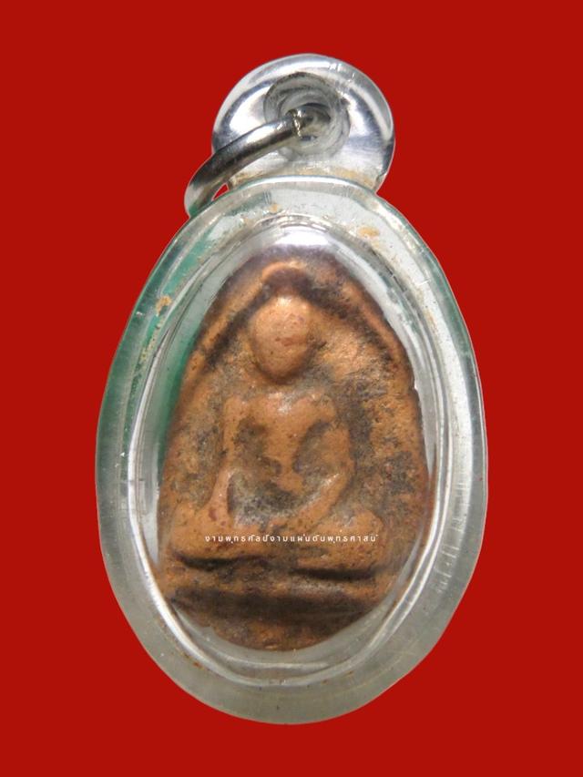 กำแพงลูกแป้งเดี่ยวหรือนางกำแพงพิมพ์เล็ก