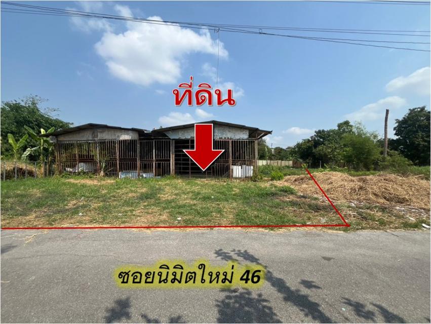 ขาย ที่ดิน มีบนบุรี นิมิตใหม่ 46 เหมาะโชว์รูม 280 ตรว 2