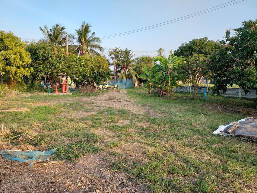 ที่ดินบ่อปลา ขนาด7ไร่ ราคา 4.49 ล้านบาท ดอนตูม นครปฐม 3