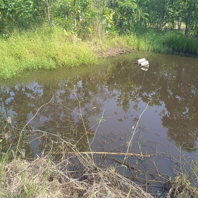 ที่ดินสวนผสมเกษตรอินทรีย์ 1 ไร่ 1 งาน 40 ตารางวา 1