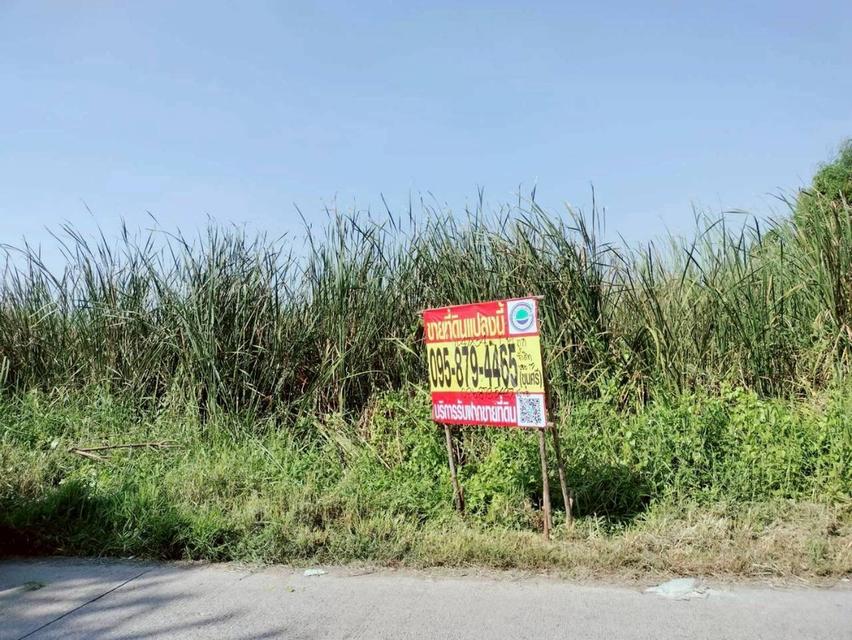Vายด่วนnที่ดินรังสิต 1 ไร่ ติดถนนคอนกรีตสาธารณะ ซอย รังสิต-นครนายก 17 อ.ธัญบุรี จ.ปทุมธานี 6