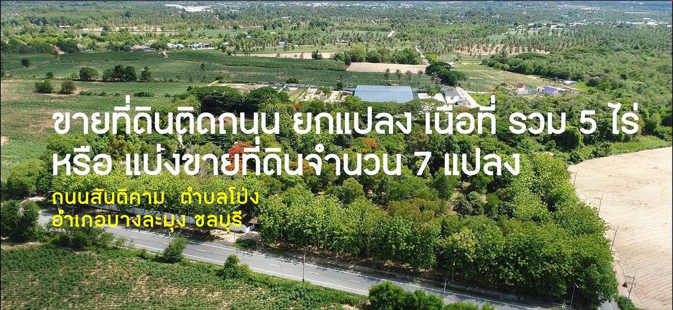 ขายที่ดินสวนบางละมุง ถนนสันติคาม  ตำบลโป่ง อำเภอบางละมุง ชลบุรี  6