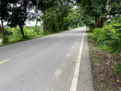 ขายที่สวนมะม่วง+ที่นาติดถนนเส้นหลัก มีน้ำใช้เยอะ 4