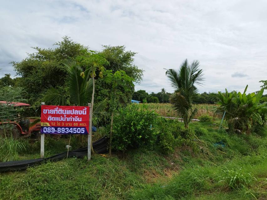 ขายด่วน ที่ดินสวยติดแม่น้ำท่าจีนราคาถูก 7