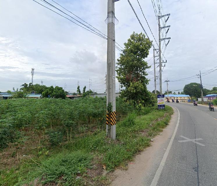 ขายที่ดินบึง ศรีราชา 12 ไร่ ซอยบ้านดอนนุ่น-วังค้อ ใกล้ท่าเรือแหลมฉบัง-13กม. ใกล้นิคมปิ่นทอง2-5กม. จ.ชลบุรี 5